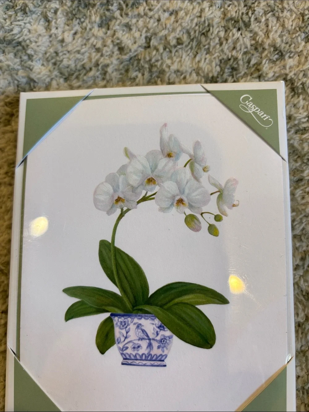 Caspari White Potted Orchid Tropical Note Cards Set of 10 NWT Boxed
